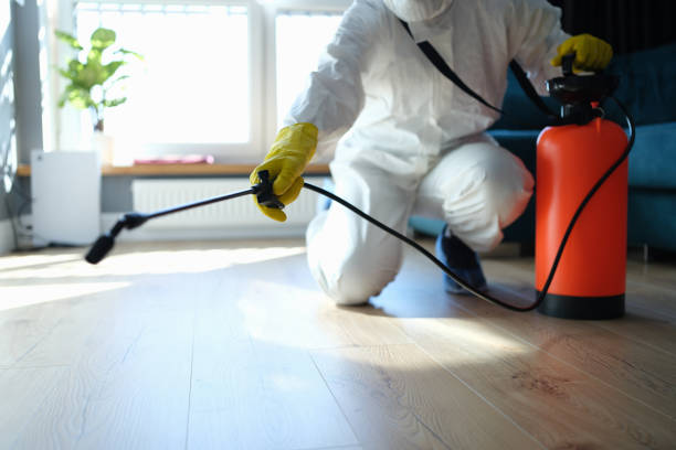 Reliable Infectious Disease Decontamination contractor in Brighton, IL by Crime Scene Cleaner Online